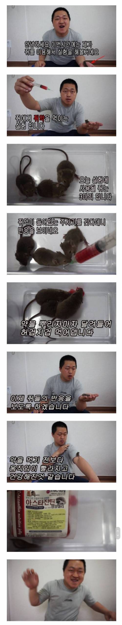 쥐에게 쥐약을 먹이면 나오는 반응...