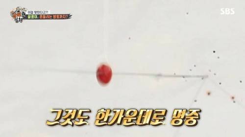 [스압] 양궁 국가대표팀 방울토마토 관통하기 미션.jpg