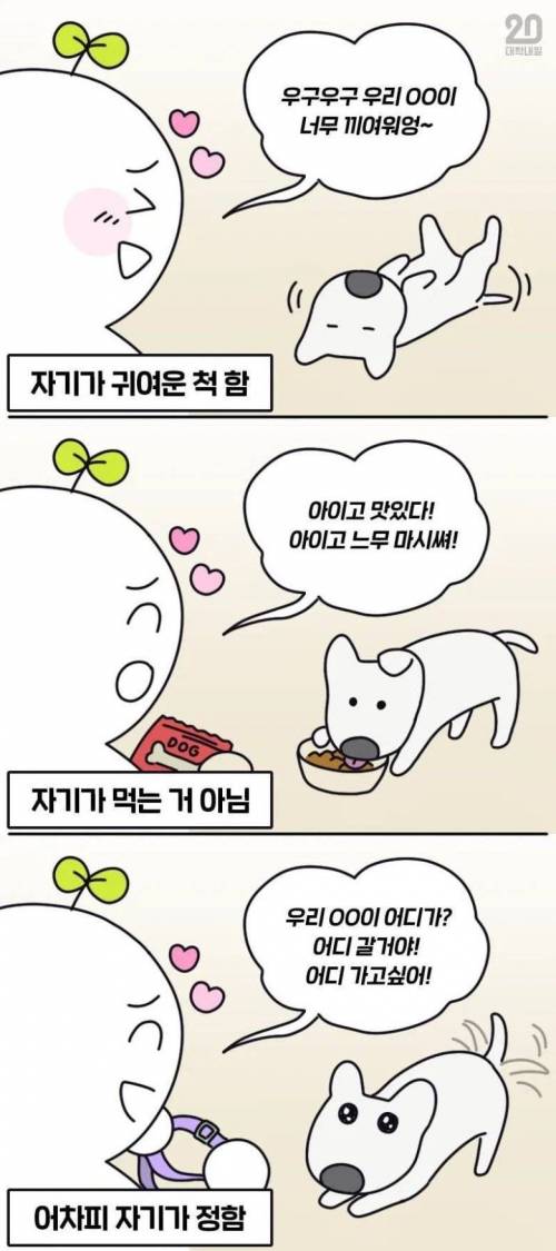 강아지 키우는 사람들 특징.jpg