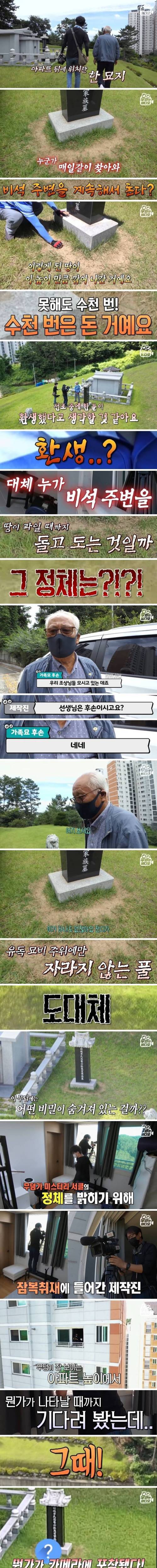 [스압] 가족묘 주변에 생긴 발자취 묘비 미스터리.jpg