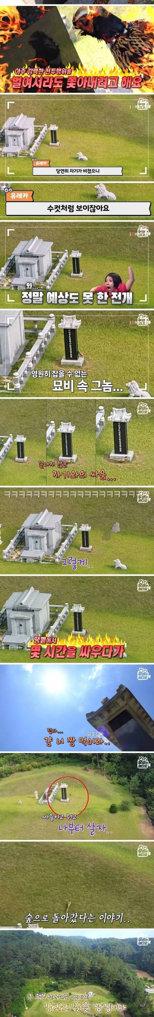 [스압] 가족묘 주변에 생긴 발자취 묘비 미스터리.jpg
