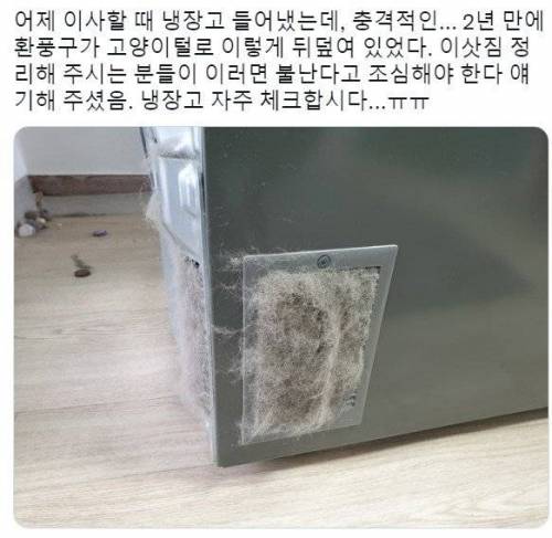 고양이 키우는 집의 냉장고.jpg