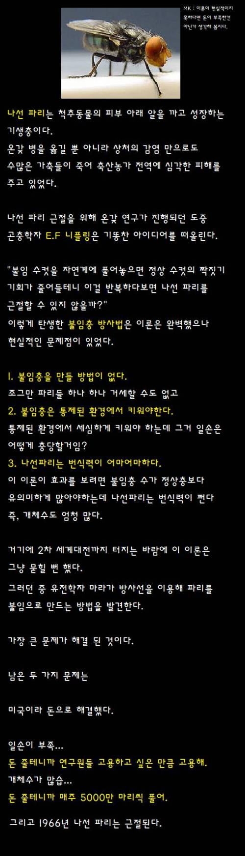 어떤 파리가 미국에서 사라진 이유.jpg