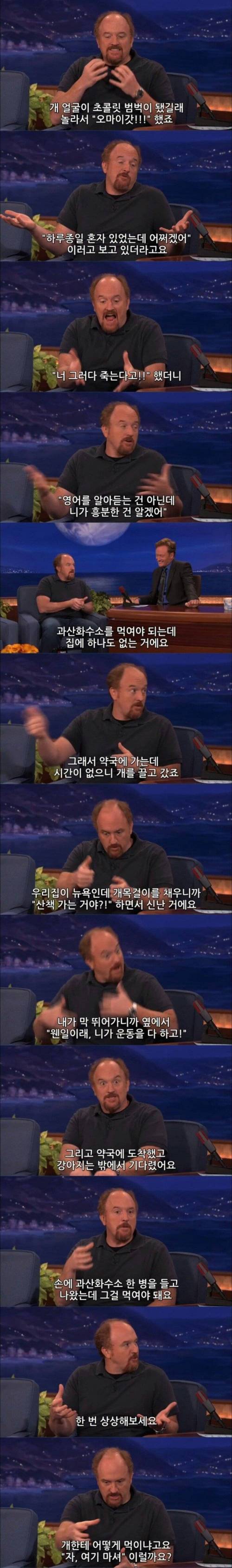 [스압] 이봐 왜 개를 학대하는 거야!?.jpg