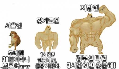 나약한 서울인...jpg