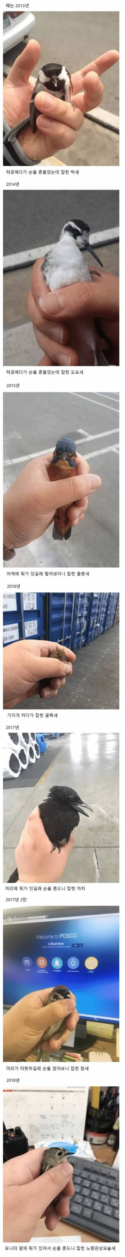 [스압] 매년 새를 잡는 사람.jpg