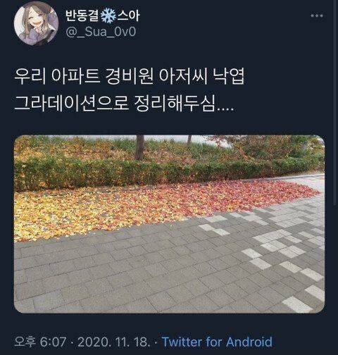 수상할 정도로 유능한.twit