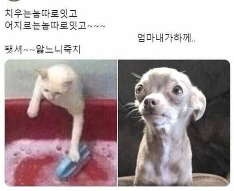 엄마가 내 방 치울 때.jpg