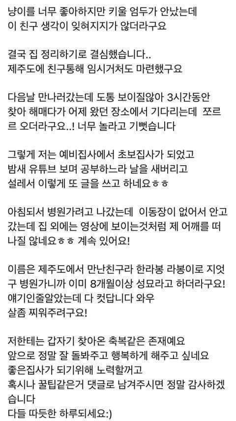 [스압] 어깨 위로 올라타 집사 간택한 고양이 근황