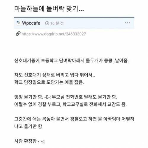 요즘 잼민이들 장난 수준.jpg