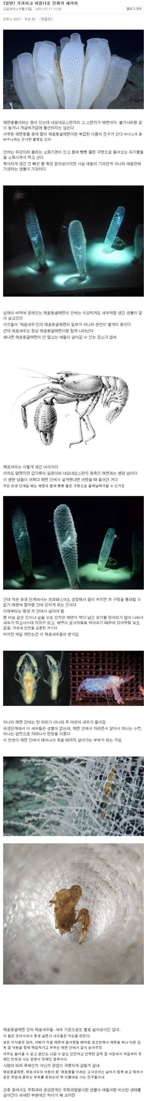 일단 들어가서 살면 죽을 때 까지 못 나오는 거.jpg