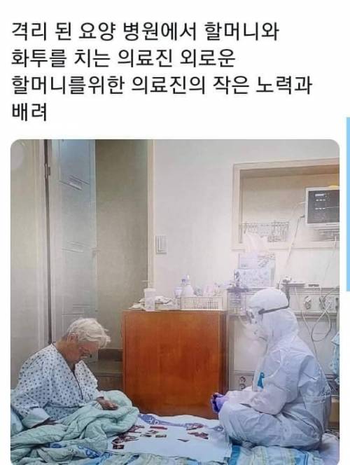 소소한 화투놀이.jpg