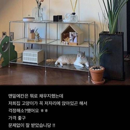 오늘의 집 후기.jpg