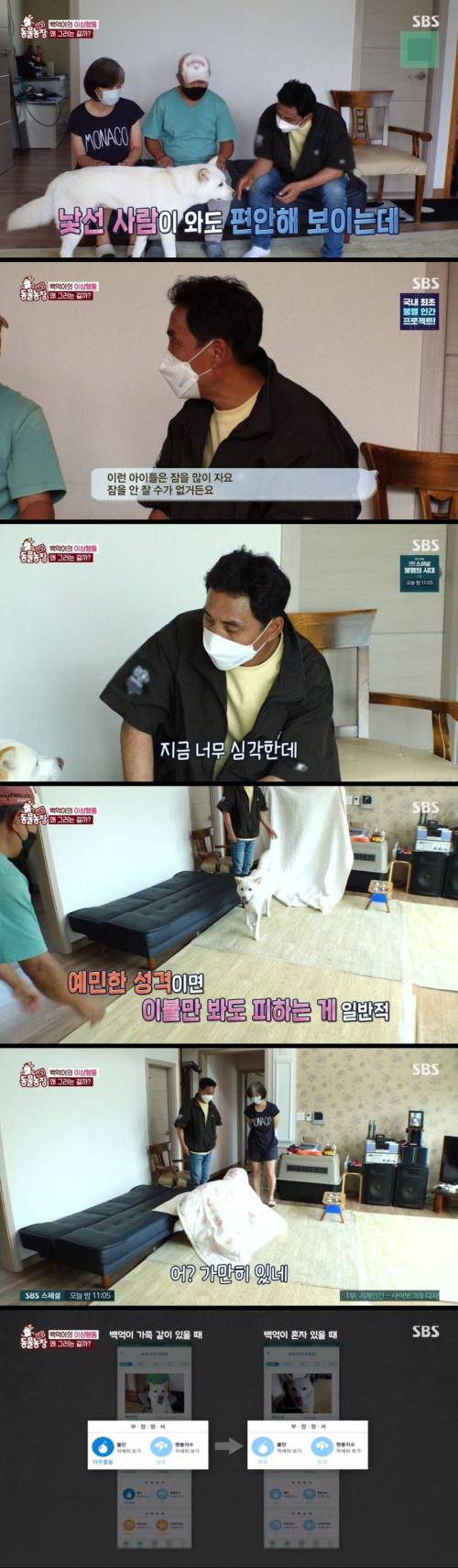 [스압] 불면증 걸려서 잠 못자는 개.jpg