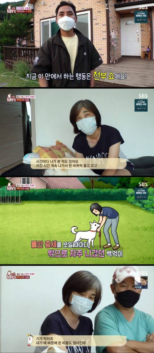 [스압] 불면증 걸려서 잠 못자는 개.jpg