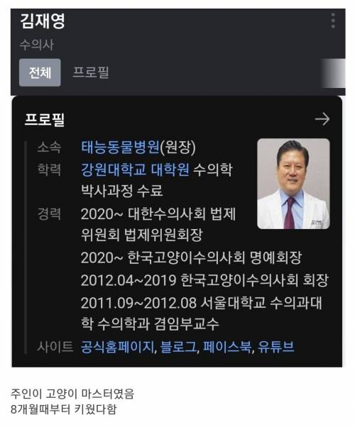 28살 고양이 사망.jpg