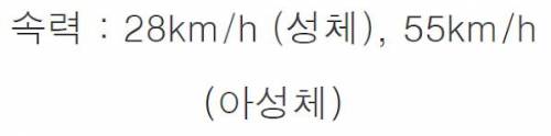 [스압] 신이 스탯을 몰빵해서 만들었다는 생물체.jpg