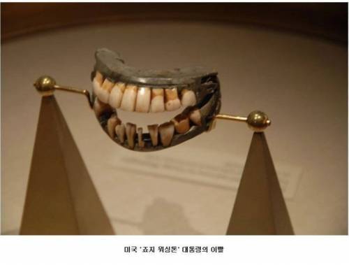 진귀한 사진들.jpg