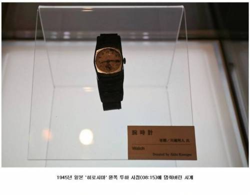 진귀한 사진들.jpg