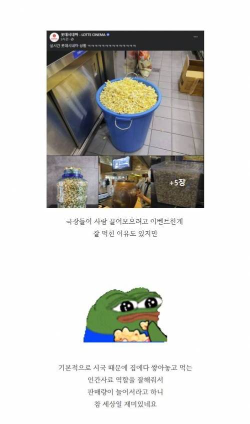 [스압] 8월 1주차 신제품 먹거리 모음.jpg