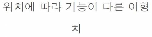 [스압] 신이 스탯을 몰빵해서 만들었다는 생물체.jpg