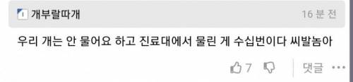우리 개는 안물어요