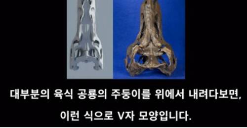 [스압] 신이 스탯을 몰빵해서 만들었다는 생물체.jpg