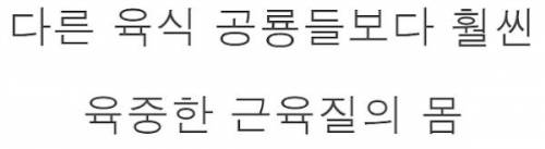 [스압] 신이 스탯을 몰빵해서 만들었다는 생물체.jpg
