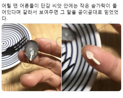 감 씨앗 안엔 작은 숟가락이 있음.jpg