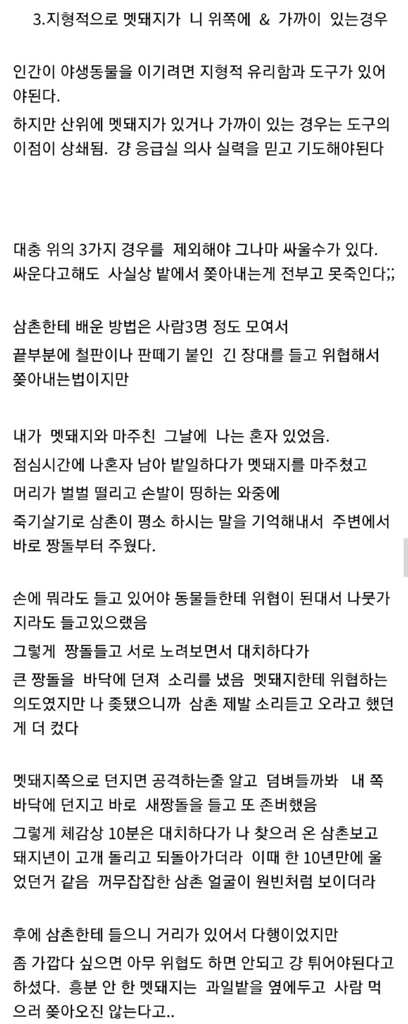 멧돼지와 대치 한 디시인.jpg