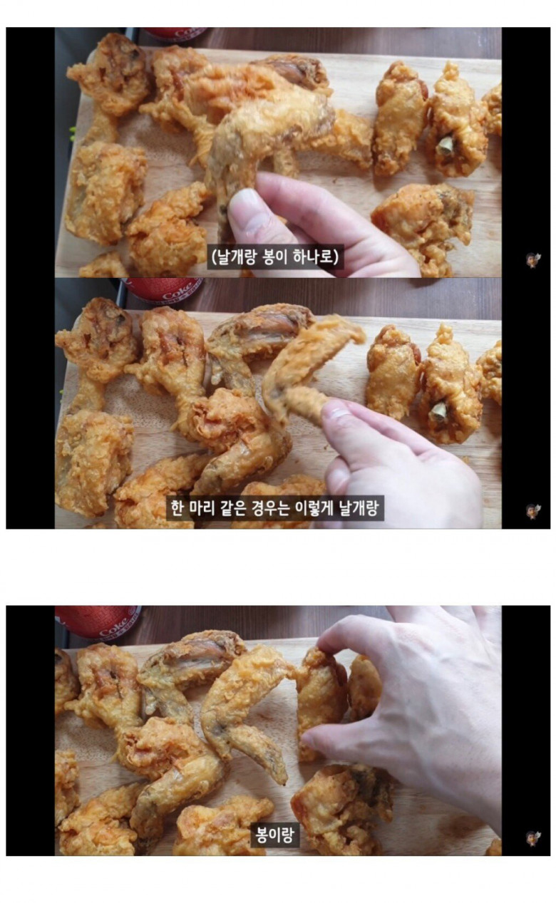 [스압] 치킨 한마리와 두마리 치킨 세트의 닭 크기 차이.jpg