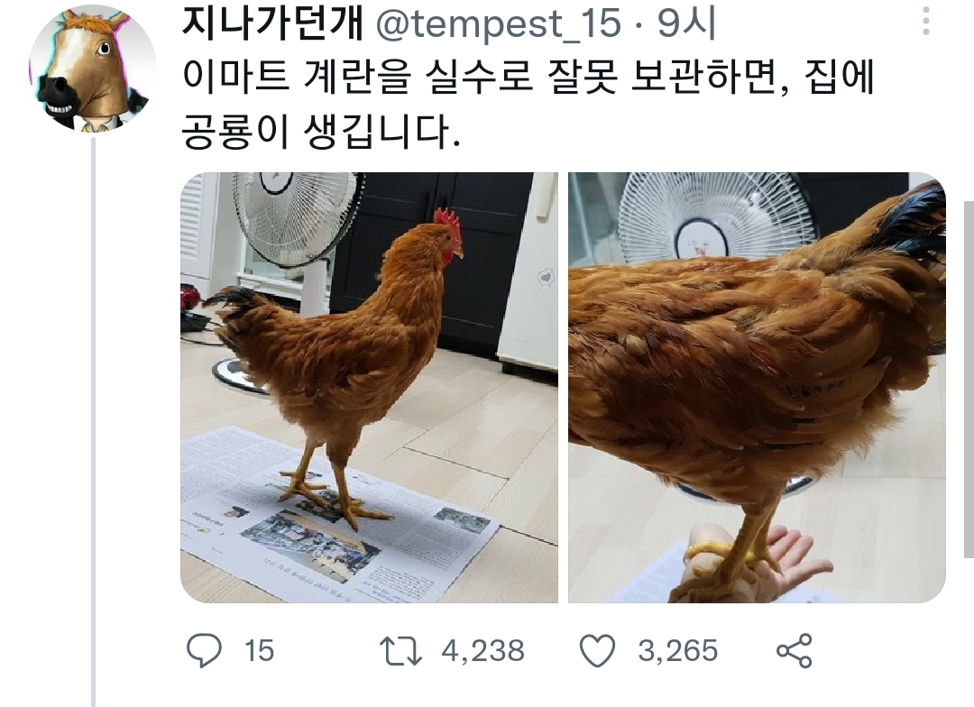 계란 상온 보관의 위험성.jpg