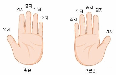 약지는 몇번째 손가락인가.jpg