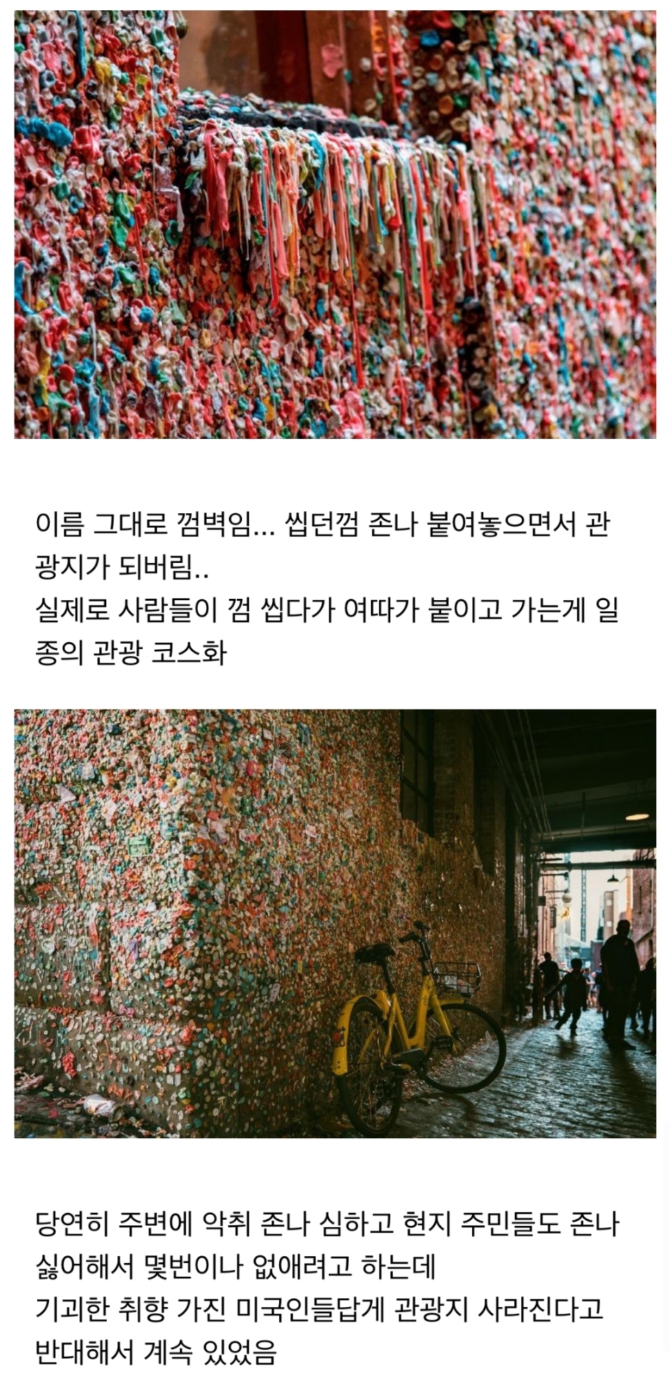 세계에서 제일 역겨운 관광지...jpg