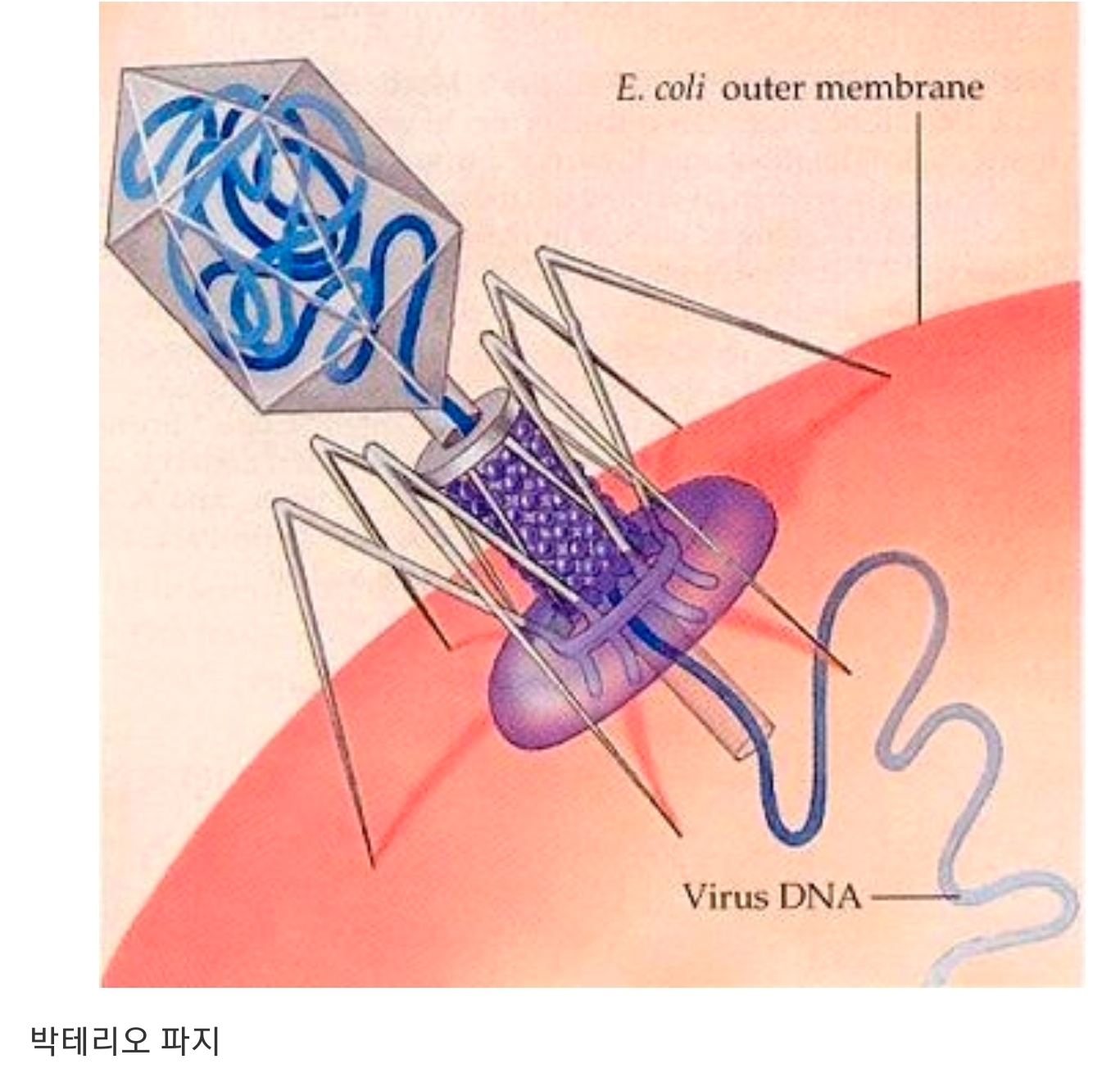 요거트 만들다 노벨상 수상한 사람들