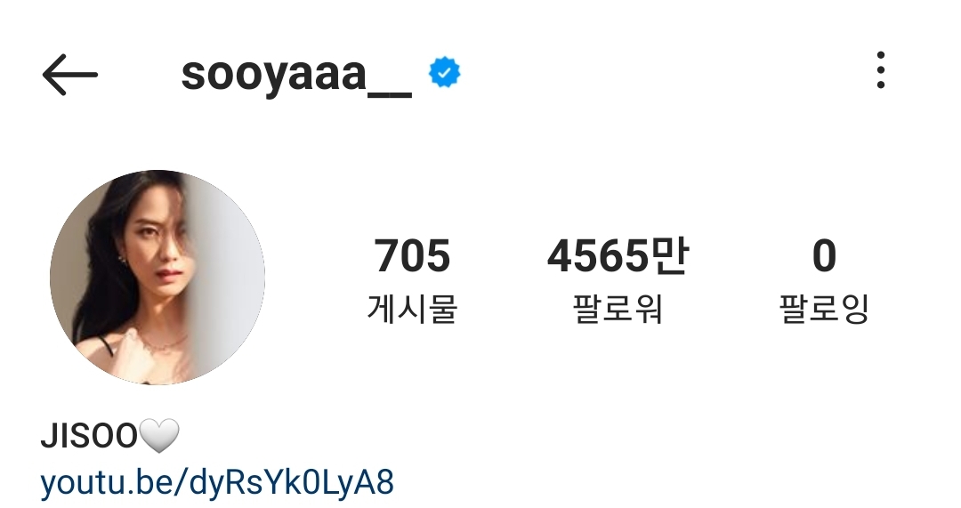 인스타그램 팔로워 순위.jpg