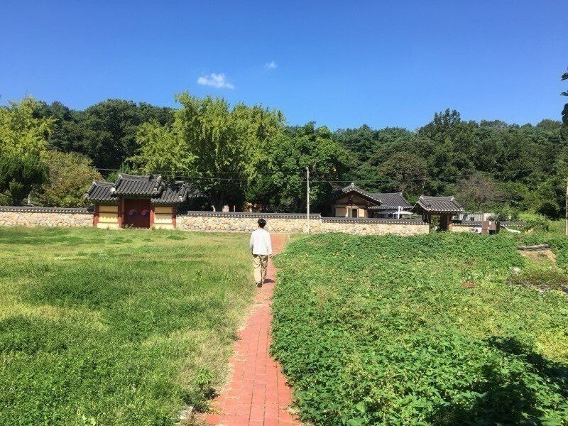 센과 치히로의 칼국수