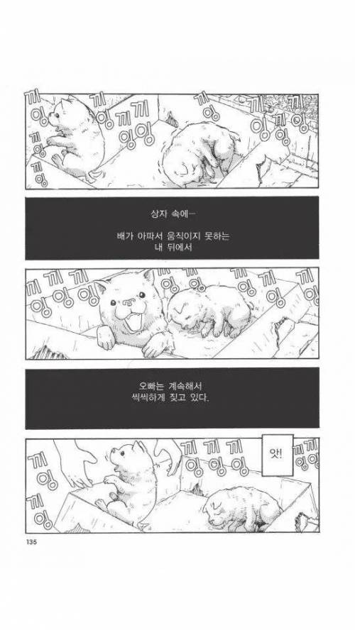 [스압] 욕쟁이 할머니가 죽어가는 강아지 주워오는.manhwa