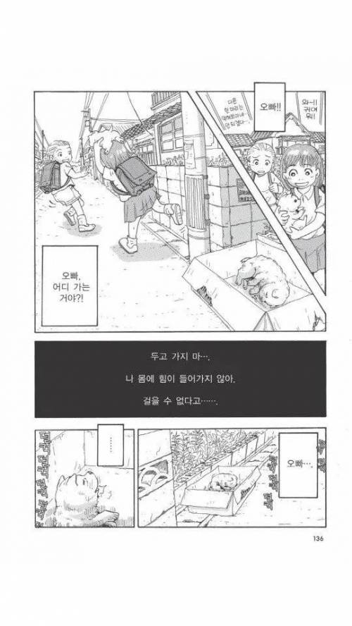 [스압] 욕쟁이 할머니가 죽어가는 강아지 주워오는.manhwa