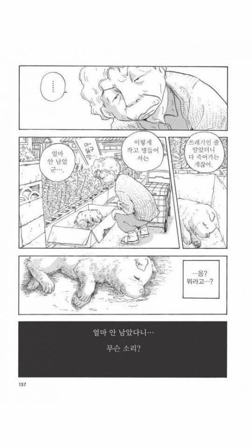 [스압] 욕쟁이 할머니가 죽어가는 강아지 주워오는.manhwa