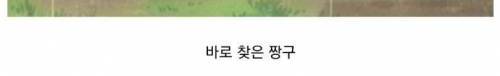[스압] 짱구의 형이 된 흰둥이.jpg