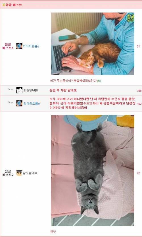 [스압] 고양이가 마음을 열었을 때 하는 행동