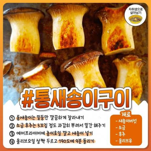 몸에 좋은 버섯 요리 레시피들.jpg