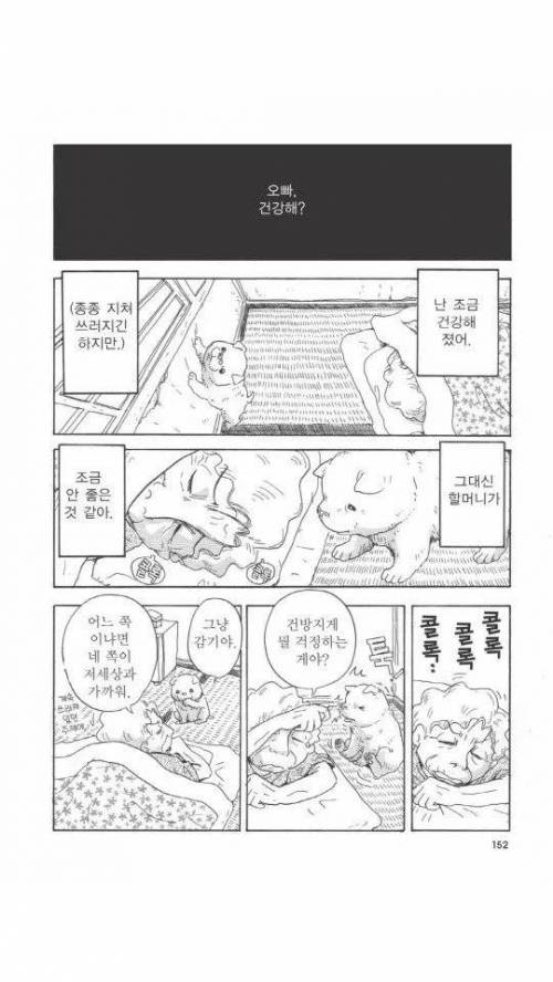 [스압] 욕쟁이 할머니가 죽어가는 강아지 주워오는.manhwa