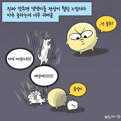 강아지 이름 맞추는 만화.jpg