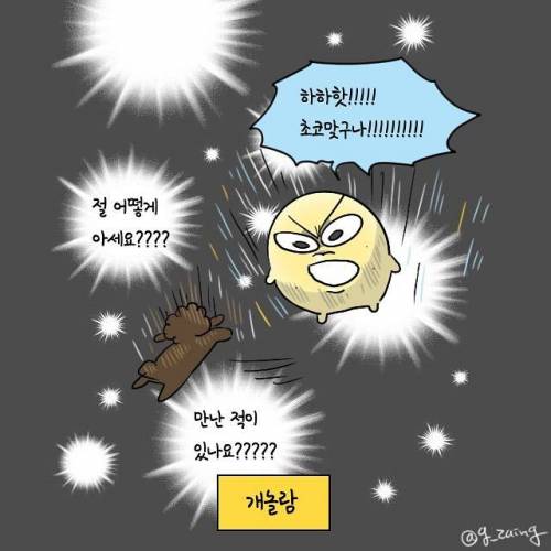 강아지 이름 맞추는 만화.jpg