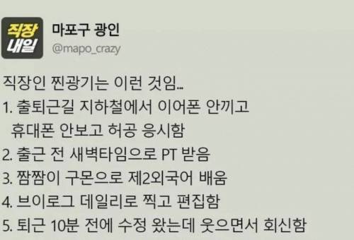 직장인 찐광기.jpg