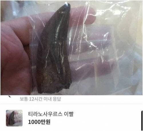 당근마켓에 올라온 1000만원짜리 물건.jpg