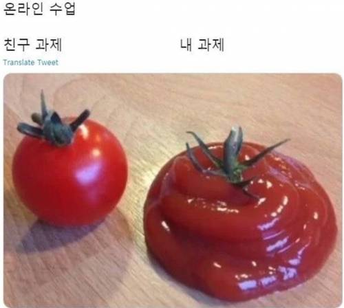 사진 하나로 이해되는 온라인 수업 과제 근황