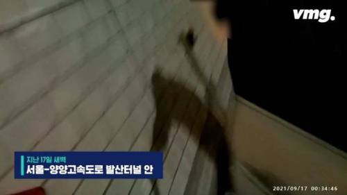 [스압] 고속도로 터널 안에서 숨 안쉬는 아기가 태어난 긴급상황